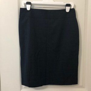 NWT - Banana Republic Skirt - 10